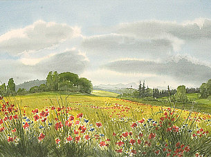 Sommerfelder (51 x 30 cm, Aquarell)