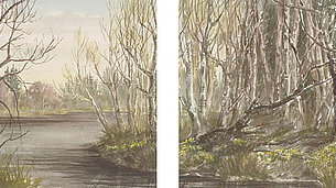 Birkeninsel im April - Diptychon (2 x 38 x 29 cm, Aquarell)