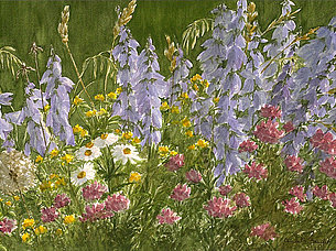 Ein Stückchen Blumenwiese (54 x 36 cm, Aquarell)