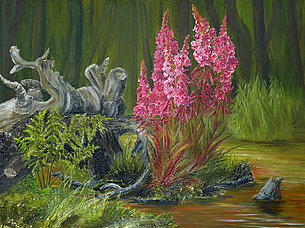 Baumwurzelinsel mit Weidenröschen (80 x 60 cm, Acryl auf Leinwand)