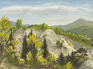 Ginsterblüte in der Toskana (38 x 29 cm)