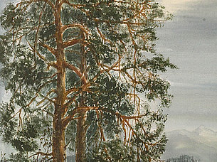 Kiefern am See (42 x 58 cm)