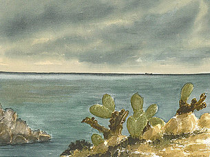 Opuntien (38 x 29 cm)