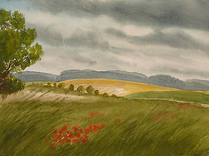 Sommerfelder bei Gilching (38 x 29 cm, Aquarell)